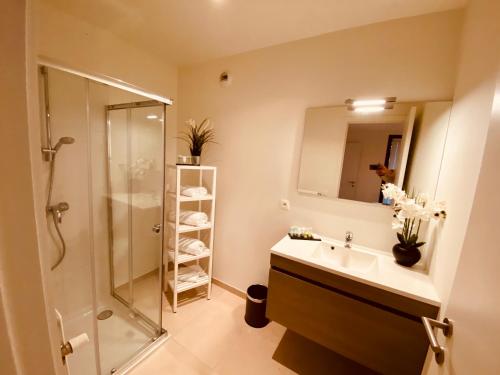 bagno con lavandino, doccia e specchio di Luxury Apartment Mons City Center a Mons