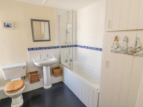 ein Bad mit einem WC, einem Waschbecken und einer Dusche in der Unterkunft Salmon Cottage in Saltburn-by-the-Sea