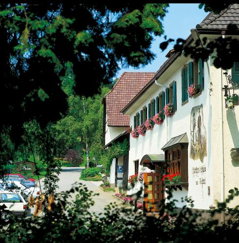 a building with flower boxes on the side of it at Hotel garni zur Weserei in Kandern