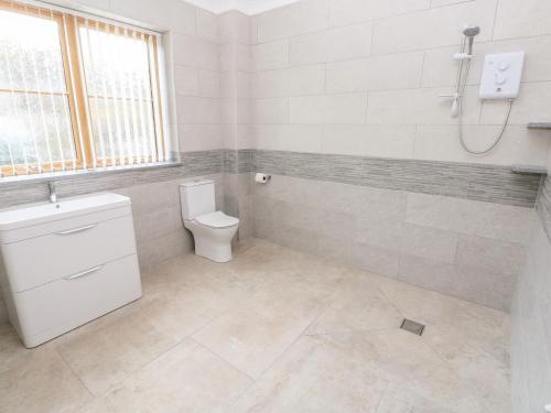 a bathroom with a toilet and a sink and a window at Pant y Gaseg Farm in Ammanford