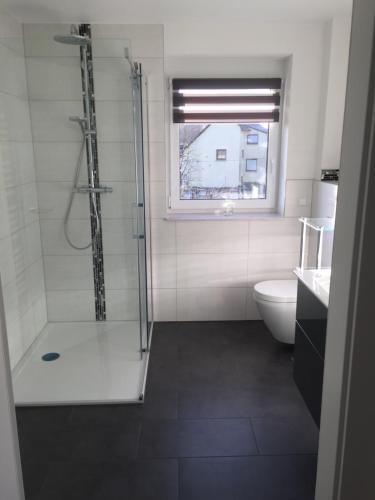 a bathroom with a shower and a toilet and a window at Valley ferienwohnung SÜW in Heuchelheim-Klingen