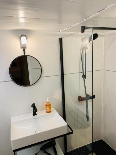 une salle de bain avec un lavabo, un miroir et une douche dans l'établissement L’Atelier d’Hugla, à Bordeaux