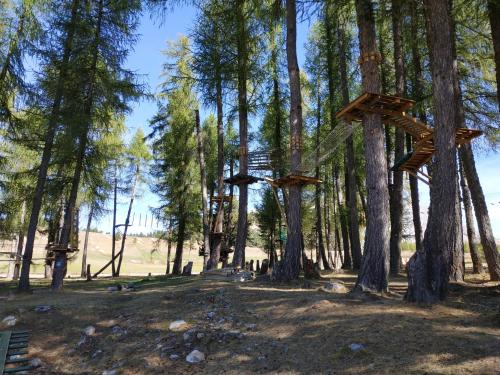 a group of trees with wooden structures on them at Appt 10p Wifi Confort 150m activités, pistes, commerces in Superdevoluy