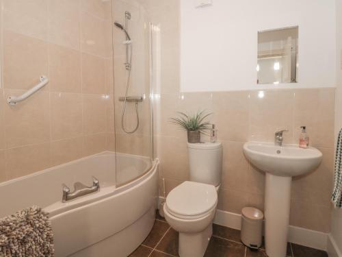 a bathroom with a toilet and a sink and a shower at All Aboard in Whitby