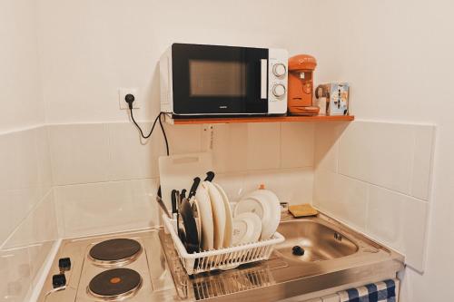 a microwave sitting on a shelf above a kitchen sink at Chez Sophie - Part Die in Lyon