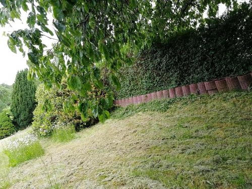 a hedge on a hill next to a fence at Gasthaus Hochwald in Hattgenstein