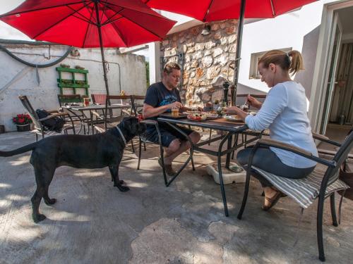 a man and a woman sitting at a table with a dog at Silba Otium in Silba