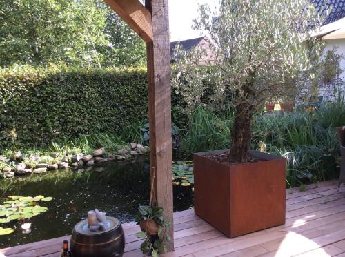 a garden with a pond and a tree in a pot at De Tuinkamer, Charme Logie & Table d’Hote in Lanaken