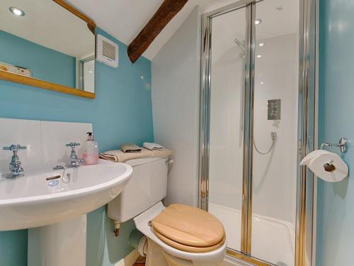 a bathroom with a toilet and a sink and a shower at Hope Cottage in Ashreigney