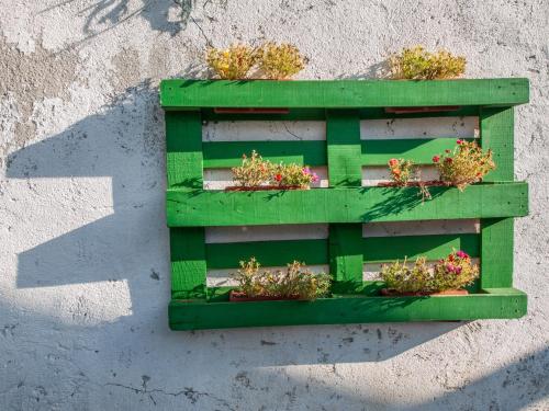 a green planter with plants in it on a wall at Silba Otium in Silba