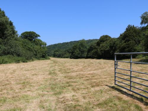 a fence in a field with trees in the background at The Cider Barn in Kingsbridge
