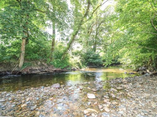 a stream with trees and rocks in a forest at The Cider Barn in Kingsbridge
