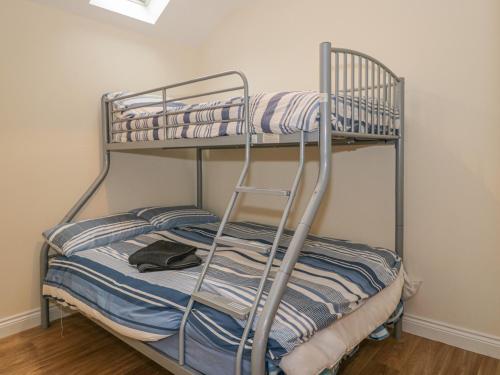 a bunk bed with a ladder on top of it at The Lodge in Bristol