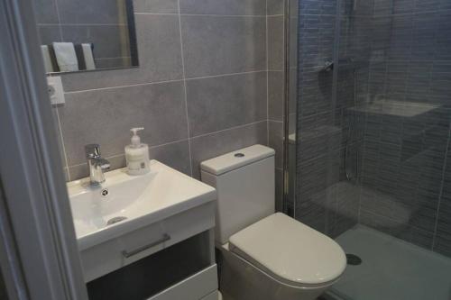 uma casa de banho com um WC, um lavatório e um chuveiro em Apartamentos los Acantilados Nº 1 Cobreces em Cóbreces