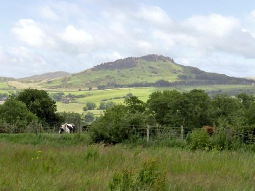 a horse grazing in a field with a mountain in the background at The Rindle in Leek