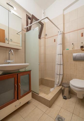a bathroom with a sink and a shower and a toilet at Vila Georgia in Siviri