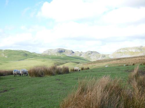 a group of sheep grazing in a field with mountains in the background at Woodpecker Lodge in Skipton