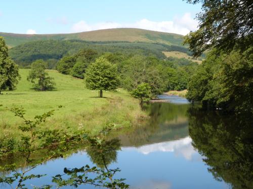 a river in the middle of a field with trees at Woodpecker Lodge in Skipton