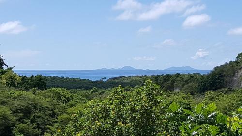a view of the ocean from the forest at VILLA ZENITUDE DES SALINES in Le Gosier