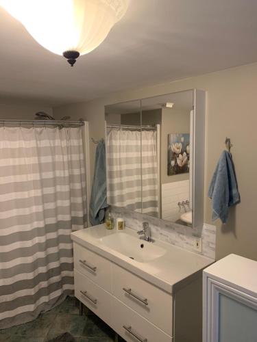 a bathroom with a sink and a mirror at Great Slave Lakeside Bed & Breakfast in Yellowknife