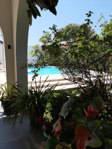 a view of the beach from a house with plants at Pousada Santa Fé in Aparecida