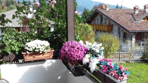 Villa Chanel – Photos 3