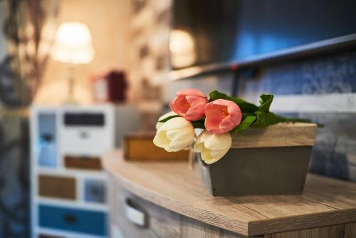 a potted plant sitting on top of a counter at Apartment AlPreMira in Varna City