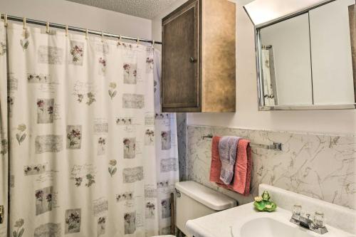 Un baño con lavabo y cortina de ducha. en HighPlaines Haven with Views, Hunting and Fishing!, en Long Lake