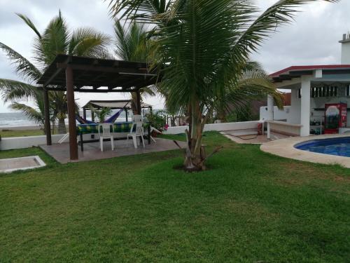 a palm tree in a yard next to a house at Hotel Arrecife Chachalacas in Chachalacas