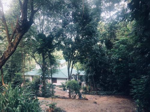 a house in the middle of a forest at Desire Village Rakwana in Rakwana