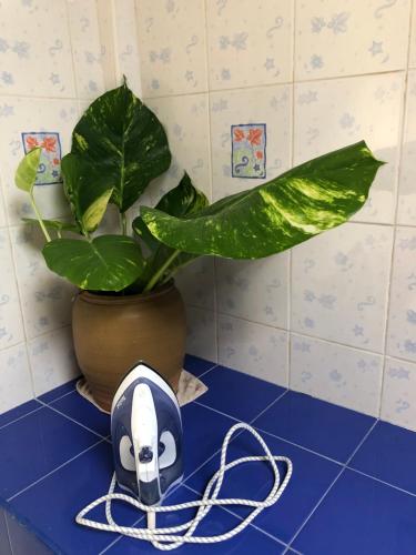 a computer mouse sitting on a counter next to a plant at Pani House Hatyai 1 in Hat Yai