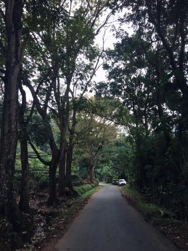 a road with trees and a car parked on the side at Desire Village Rakwana in Rakwana