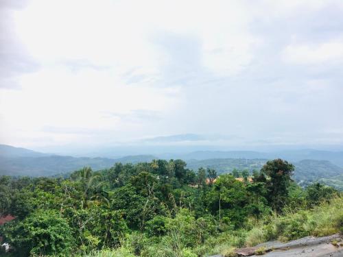 a view of the jungle from the top of a hill at Desire Village Rakwana in Rakwana