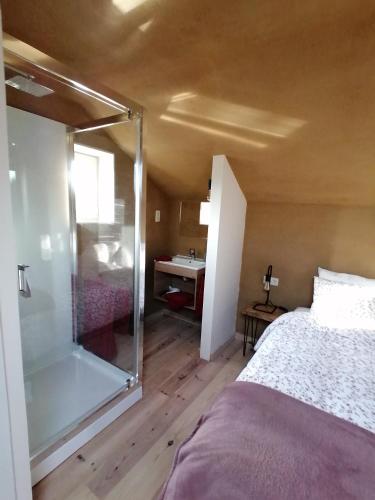 a bedroom with a shower and a bed and a sink at B&B Leybeeckhof in Holsbeek