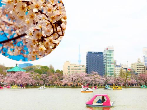 a group of boats in the water with cherry trees at APA Hotel Keisei Ueno Ekimae in Tokyo