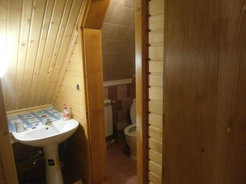 a bathroom with a sink and a toilet at Karpatskiy Domyk in Izki