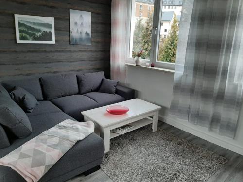 a living room with a couch and a table at Ferienwohnung alte Stepperei in Schwarzenberg