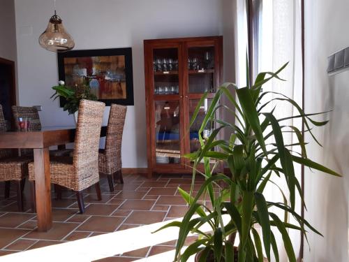 Bibliothèque dans la maison de vacances