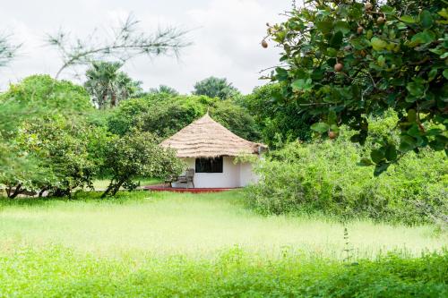 a small hut in the middle of a field at Tamba Kuruba Eco-lodge in Folonko