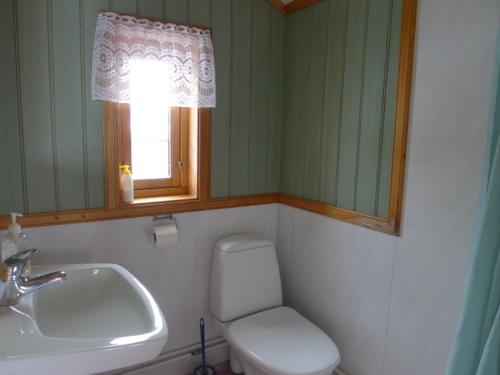 a bathroom with a toilet and a sink and a mirror at Romenstad Hytter in Rendalen