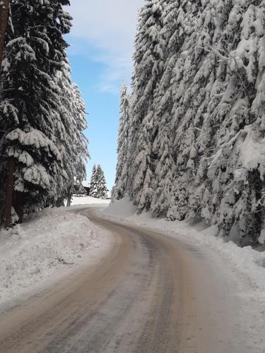 a dirt road with snow covered trees on it at Haus Silvia in Flachau