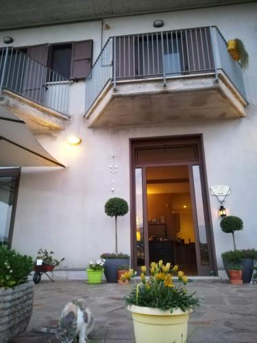 a dog sitting in front of a building at Il Faggio 17 B&B in Artena
