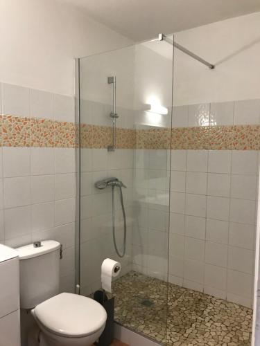a bathroom with a toilet and a glass shower at La villa FLau Studio Frégate in Sainte-Luce