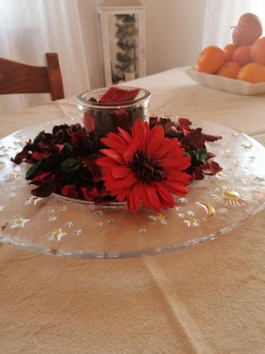 a plate with a red flower on a table at B&B Belli Dentro in Verona