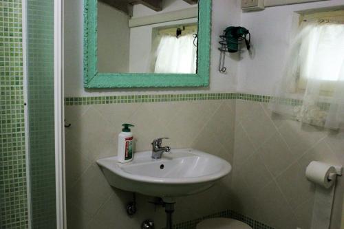 a bathroom with a sink and a mirror at Fattoria Cristina Bilo Rosa in Castelnuovo Magra