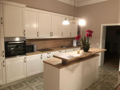 Dapur atau dapur kecil di Gutshaus Redentin