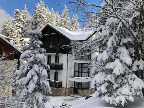 a house with snow covered trees in front of it at Montana Residence in Poiana Brasov