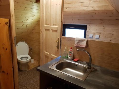 a bathroom with a sink and a toilet in a cabin at Apartments V Zatáčce in Albrechtice v Jizerských horách