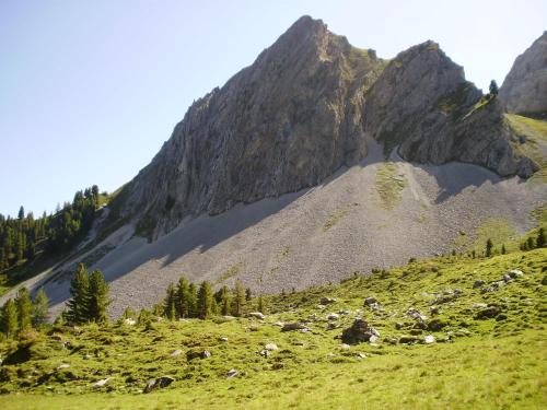 Příroda nedaleko apartmánu