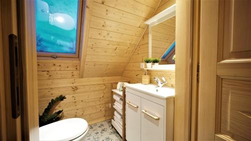 a bathroom with a toilet and a sink at Wioska Jasia i Małgosi in Izdebnik